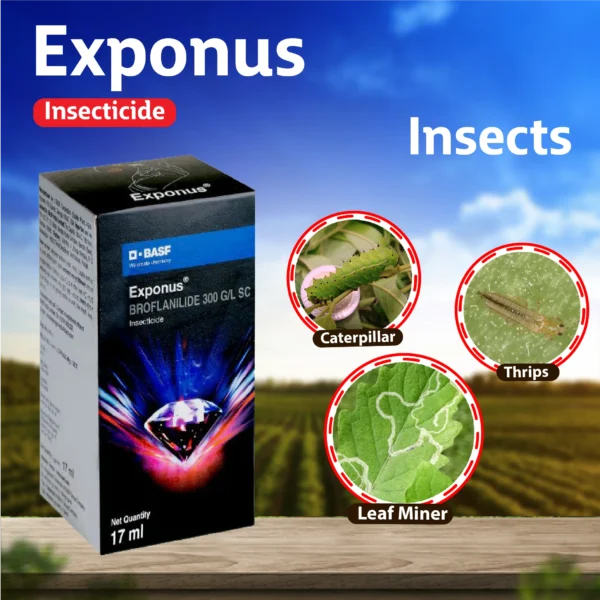 BASF Exponus Insecticide – Thrips, Caterpillar & Jassid ke liye तेज़ असरदार दवा