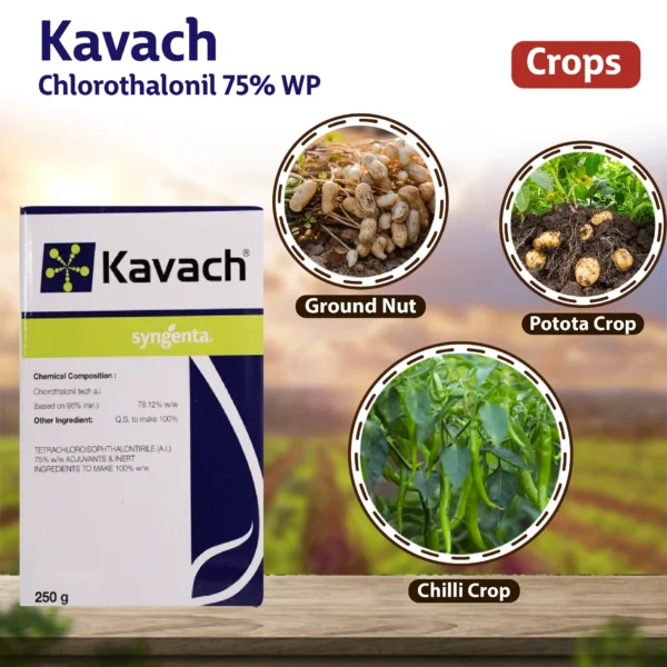 Syngenta Kawach Fungicide – Contact Fungicide for Broad Disease Control