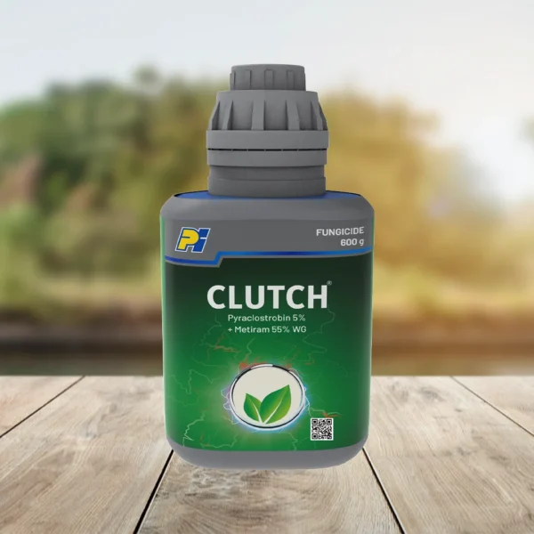 BASF Clutch Fungicide – Advanced Protection Against Fungal Diseases